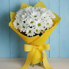 Букет цветов из:  Хризантемы в Вольске