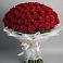 Букет 101 Красная роза Блэк Мэджик в Вольске