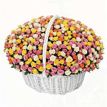 Премиум букет из: Розы #REPLACE_PRED# Вольске