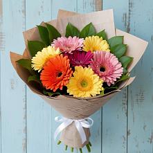 Букет цветов из:  Герберы в Вольске
