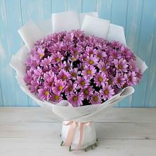 Букет цветов из:  Хризантемы в Вольске