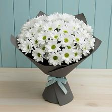 Букет цветов из:  Хризантемы в Вольске