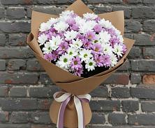 Букет цветов из:  Хризантемы #REPLACE_PRED# Вольске