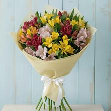 Букет цветов из:  Альстромерии в Вольске
