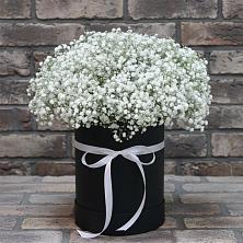 Цветочная композиция из Гипсофила в шляпной коробке в Вольске