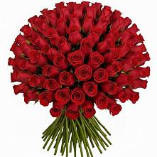 Букет Красные розы Чери Лав #REPLACE_PRED# Вольске