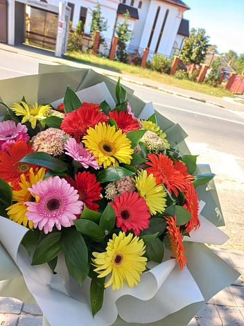 Букет цветов из: Герберы в Вольске