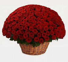 Премиум букет из: Розы #REPLACE_PRED# Вольске