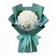 Букет цветов из:  Гортензия в Вольске